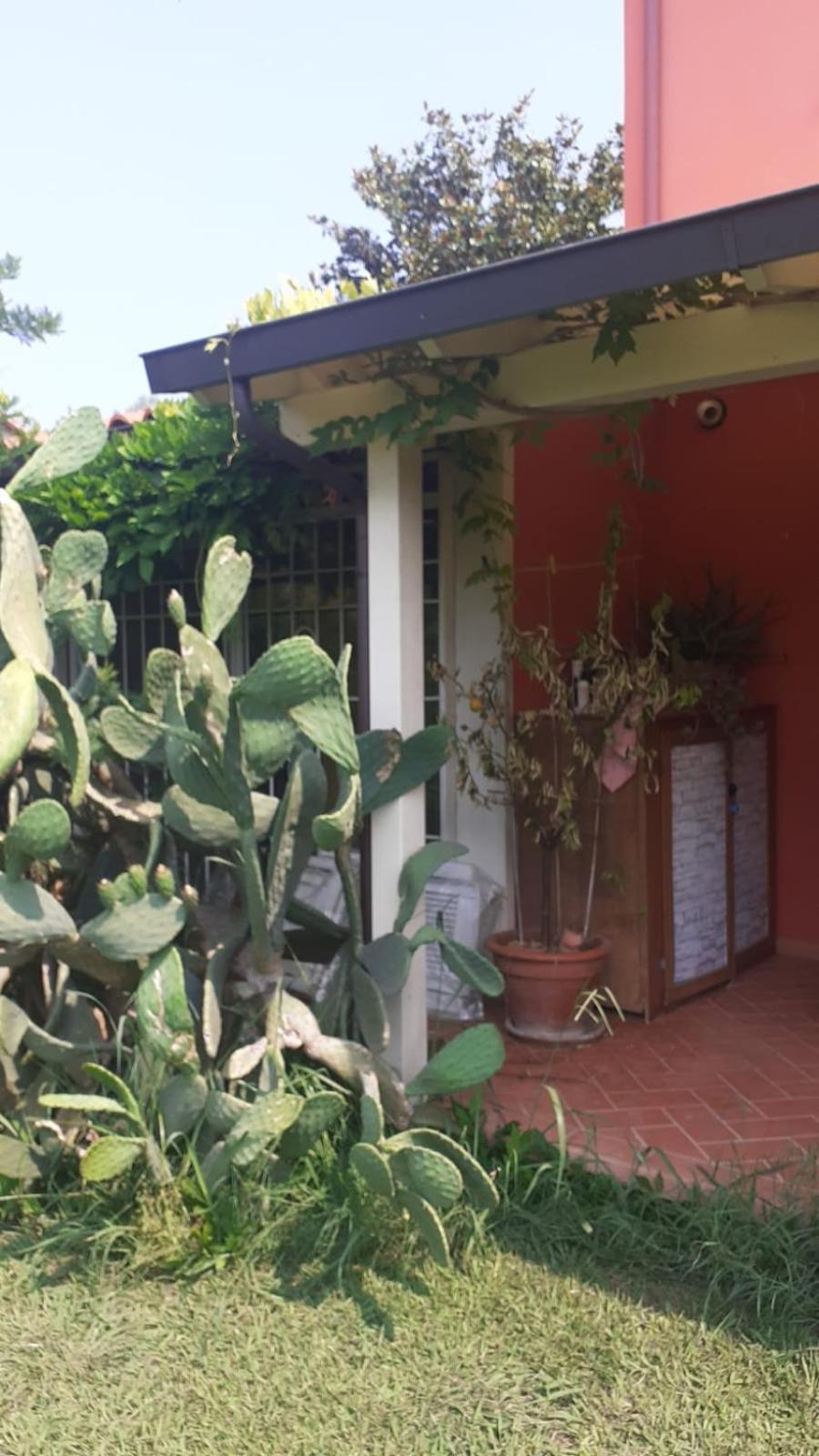 ルッカ La Casa Delle Buone Lettureヴィラ エクステリア 写真